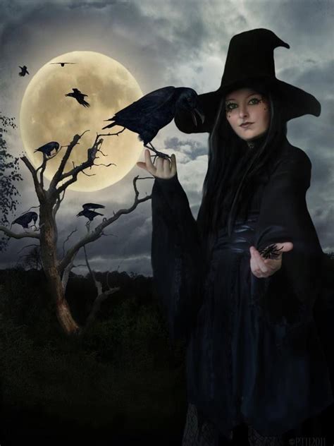 Pin By Dorothy Ponting On Sorciers Witches Fantasy Witch Beautiful