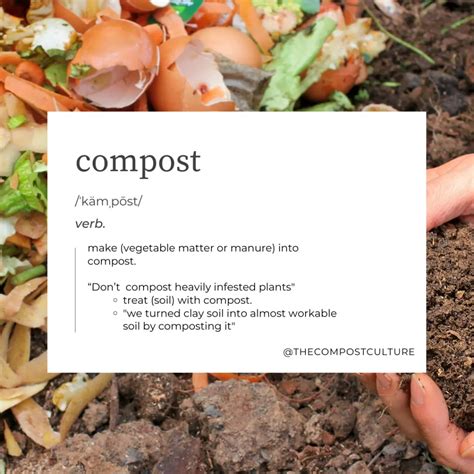 A Beginners Guide To Compost The Compost Culture