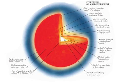 Massive Stars Structure Of A Red Supergiant Allstars Blogs