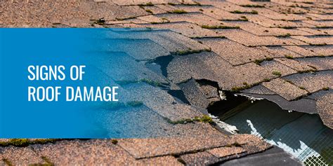 Exterior And Interior Signs Of Roof Damage Explained