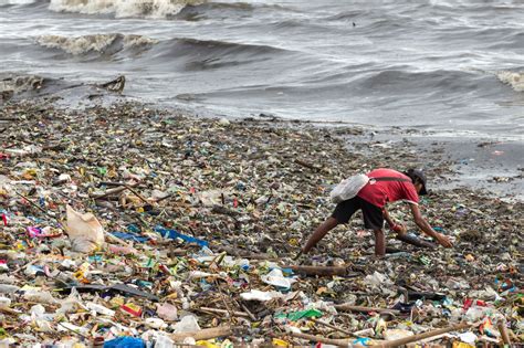 Tackling Plastic Pollution In The Indian Ocean Gambaran