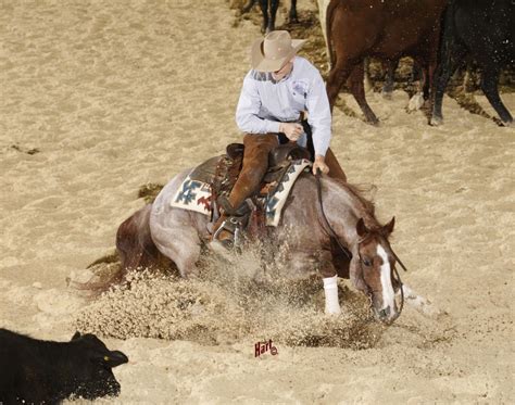 Quarter Horses King Ranch