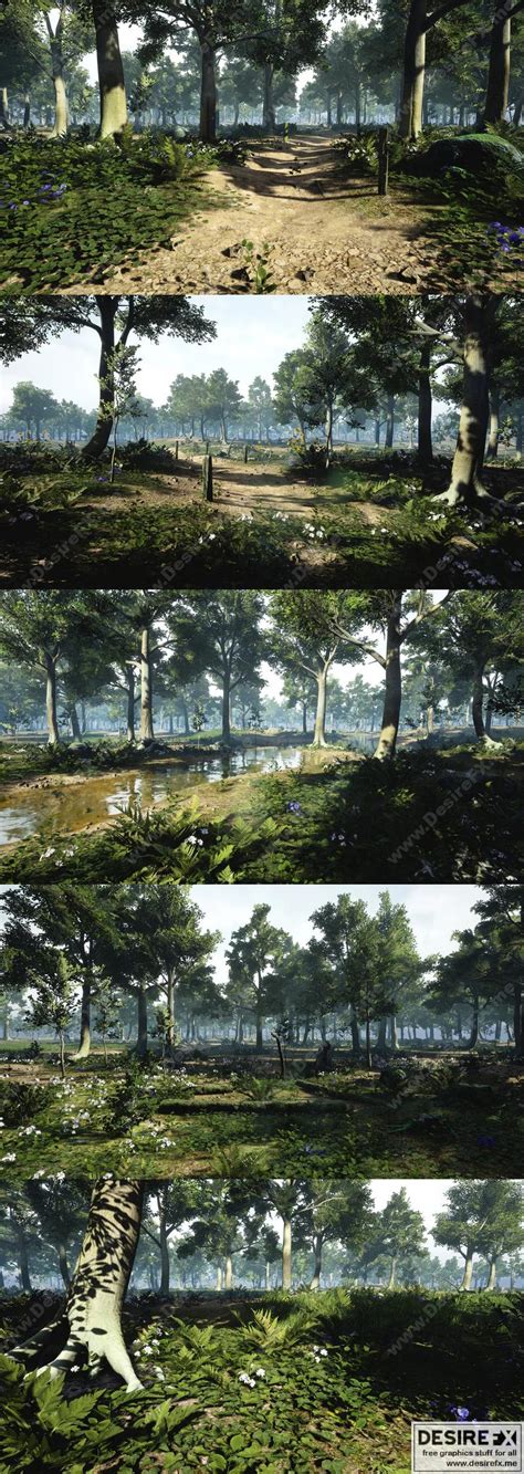 Desire Fx 3d Models 3d Scanned Photo Realistic Forest Landscape Asset