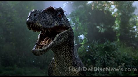 Image Jurassic Park 3 18png Park Pedia Jurassic Park Dinosaurs Stephen Spielberg