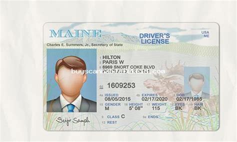 Maine Drivers License Fake Scannable Scannable Fake Id Buy Best