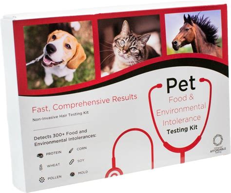 5strands Food Intolerance Testing And Allergy Testing For Dogs Cats