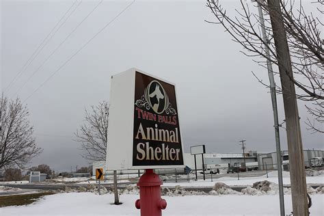 You'll find street food videos, travel vlogs, and plenty of thai food videos as that's where i'm based. Twin Falls Animal Shelter Food Pantry Dangerously Low