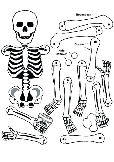 Pirate Skeleton Coloring Pages At Free Printable