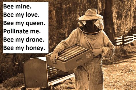 Top 80 Honey Bee Pick Up Lines That Are Un Bee Lievably Bee Utiful