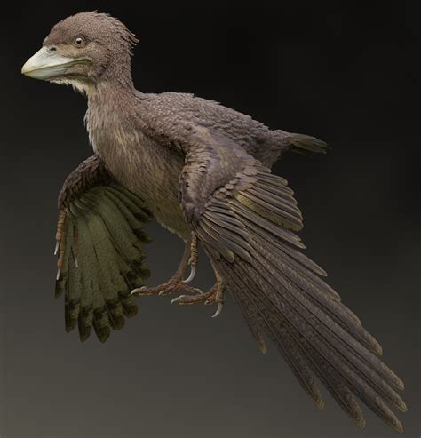 Earliest Known Dino Bird With Tail Feathers Found In Japan Fossil Site