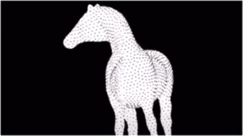 This Viral Optical Illusion Of A Spinning Horse Has Left The Internet