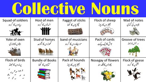 List Of Collective Nouns With Urdu Meaning ILmrary