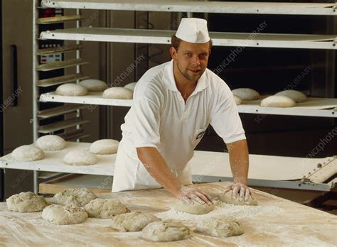 Baker kneading dough for making loaves of bread - Stock ...