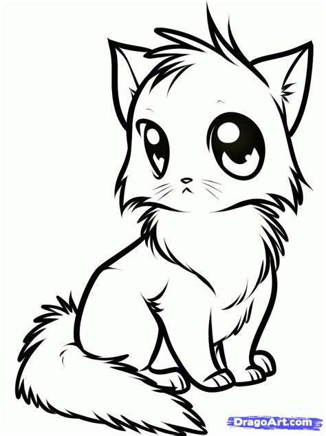 Free Cute Cat Face Drawing Download Free Cute Cat Face Drawing Png