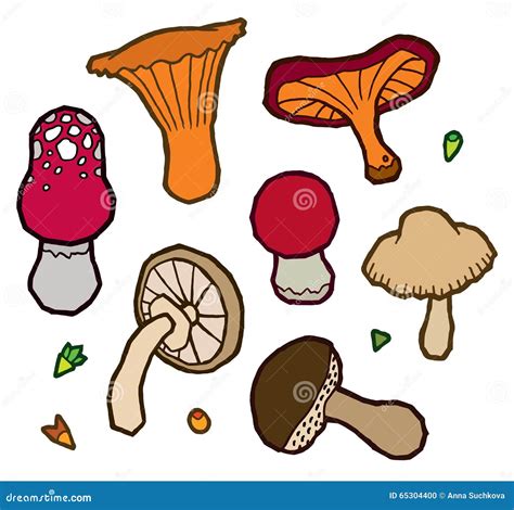 Edible Mushrooms Autumn Stock Vector Illustration Of Drawing 65304400