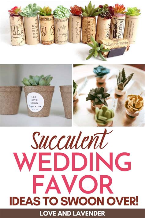 10 Succulent Wedding Favor Ideas To Swoon Over Love And Lavender