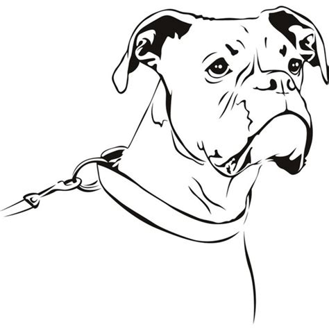 How to draw a sitting dog. Boxer Dog Wall Sticker Pet Animals Wall Decal Canine Kids ...