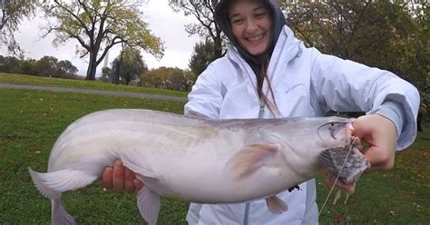 The 7 Best Live Baits For Catfish The Honest Angler