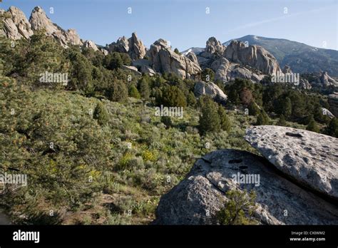 Rocks And Spires In Castle Rocks State Park Almo Id Stock Photo Alamy