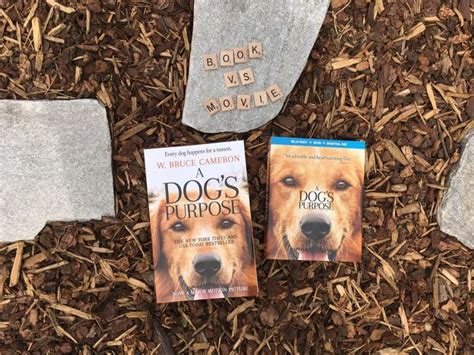 After a tragically short life as a stray, bailey is surprised to find himself reborn as a new puppy. Book vs. Movie: A Dog's Purpose #ADogsPurposeMovie - Books ...