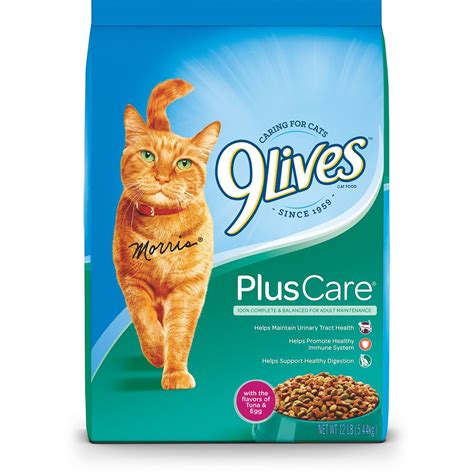 A Complete Guide To The Best Cheap Cat Food Firstpawz