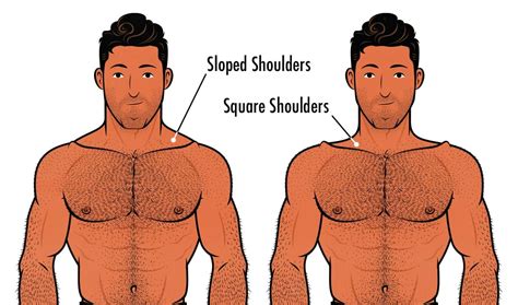 how to build broader shoulders for skinny guys