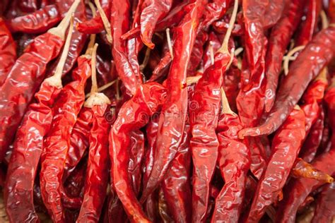 Dried Big Chili Stock Image Image Of Seasoning Freshness 33031929