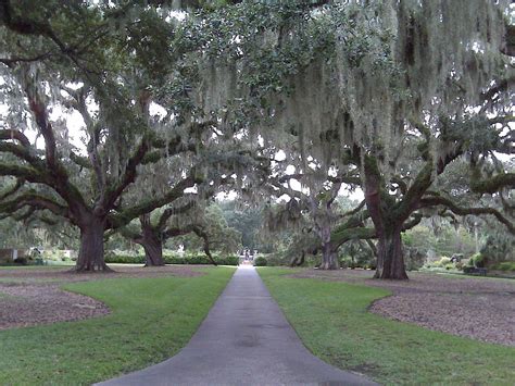 Brookgreen Gardens South Carolina Beautiful Places Beautiful South