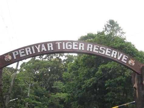 Periyar National Park Periyar Sanctuary Thekkady Tiger Reserve