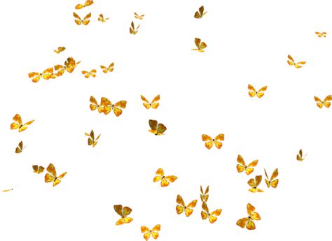 Butterflies Png Butterflies Transparent Background Freeiconspng