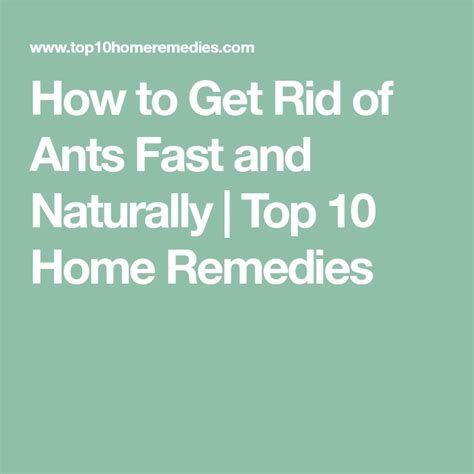 We did not find results for: How to Get Rid of Ants Fast and Naturally | Top 10 Home Remedies | Get rid of ants, Rid of ants ...