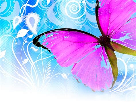 🔥 50 Cute 3d Butterfly Desktop Wallpapers Wallpapersafari