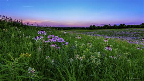 Webinar: Missouri and the New Tallgrass Prairie Economy - Ecological Landscape Alliance