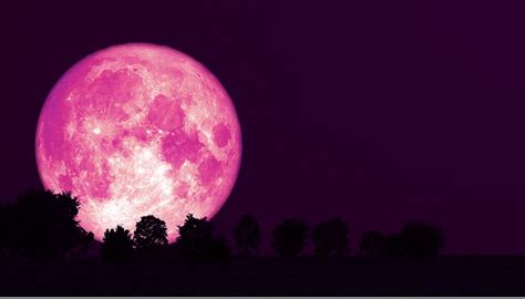 Strawberry Moon 2021 Springs Last Full Moon To Appear In Sky Today