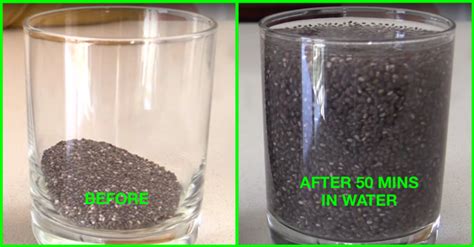 As the name suggests, you simply consume a bunch of chia seeds right away, maybe around a tablespoon or two in one day, and then take more whenever you feel like. Those Unwanted Pounds Will Soon Be Forgotten If You Eat ...