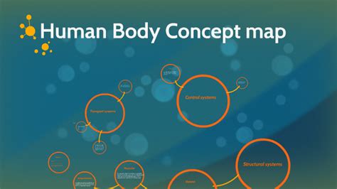 Human Body Concept Map By Joseph Gaowen