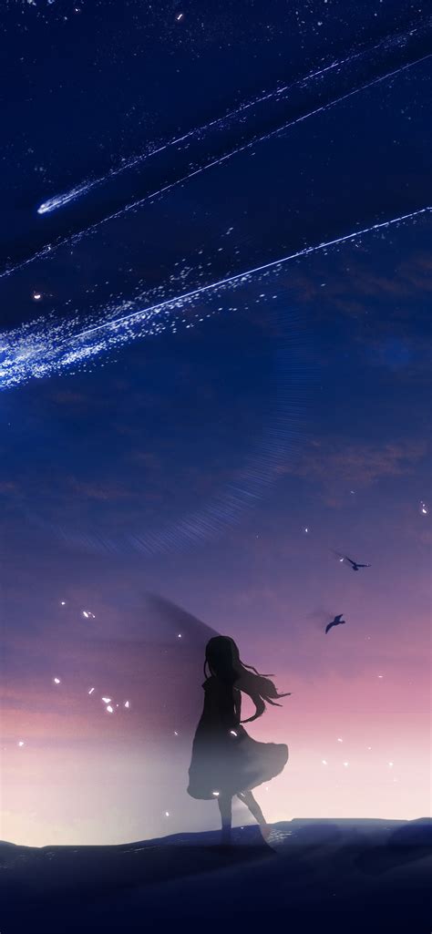Free Download Anime Night Sky Scenery Comet 4k Wallpaper 1242x2688