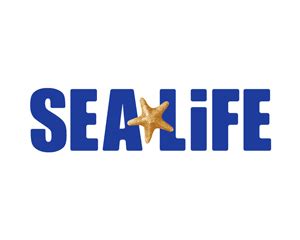 Download now the free icon pack 'sealife'. Creality Promo + Retail