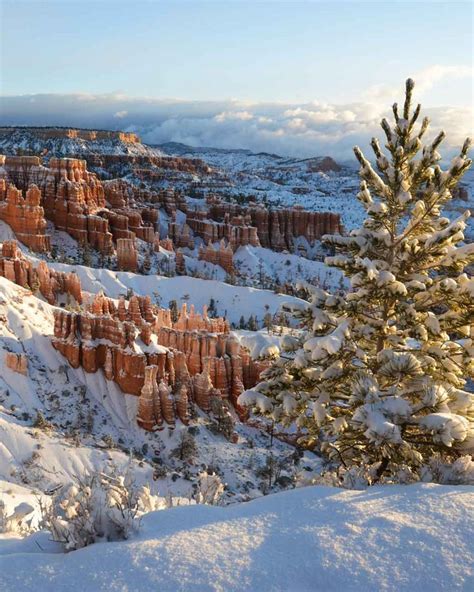 Best National Parks To Visit In Winter Epic Winter Wonderland