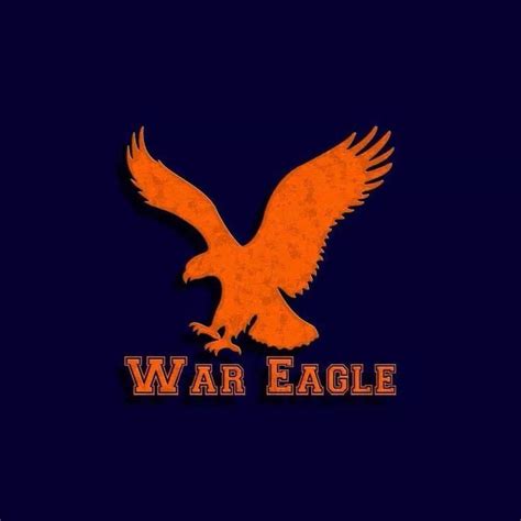 Pin By Karen Hill On Orange And Blue Love Au Tigers War Eagle