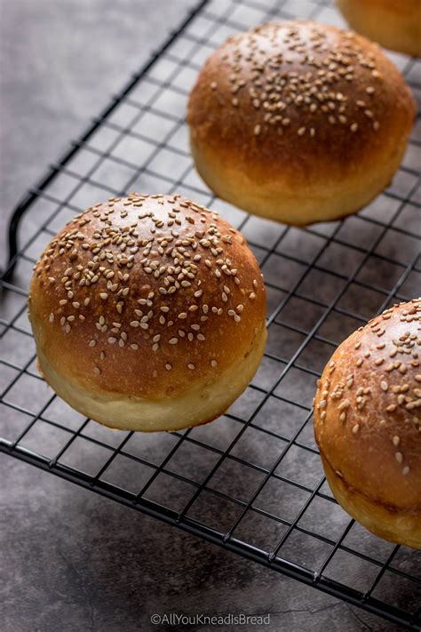 Perfect Sourdough Burger Buns All You Knead Is Bread