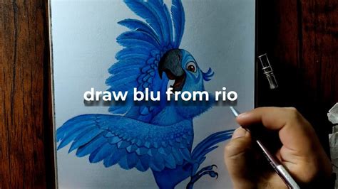 Draw Blu The Parrot From The Movie Rio Color Pencil Drawing Youtube