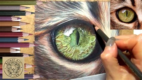 Realistic Cat Eye In Coloured Pencil Timelapse Black Paper Drawing