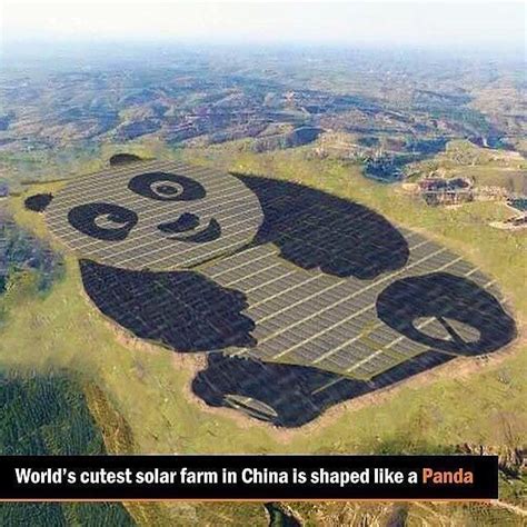 The Panda Shaped Solar Farm In Datong📍 China 🐼 Solar Farm