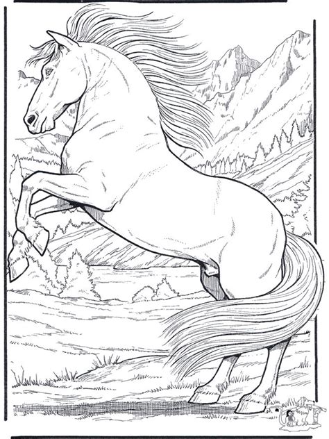 Free Free Printable Realistic Horse Coloring Pages Download Free Free