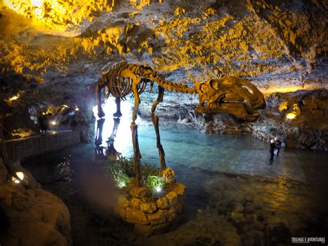 Maybe you would like to learn more about one of these? Xcaret, Xel-Há e Xplor: Qual o melhor parque em Cancun e ...
