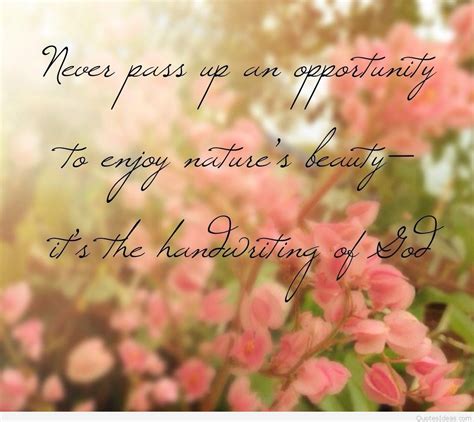 Life Is Beautiful Quote Photo Life Beautiful Flowers Quotes