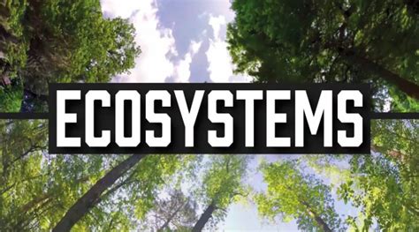 Ecosystems Science4 Biological Sciences Collinson Library At St