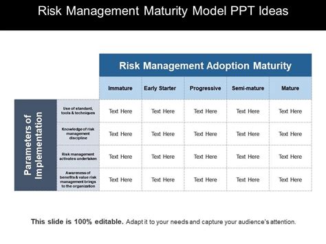 Risk Management Maturity Model Ppt Ideas Powerpoint Shapes