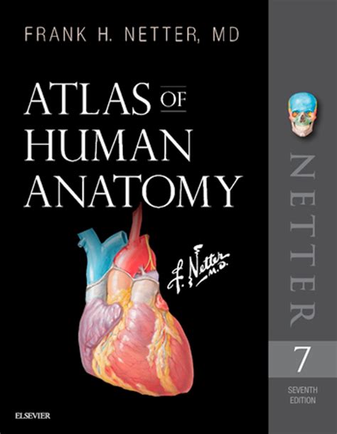 Atlas Of Human Anatomy E Book 電子書，作者 Frank H Netter Md Epub 書籍